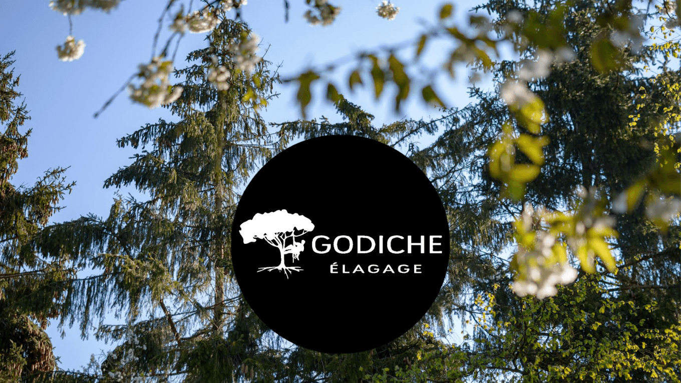 Godiche Élagage Nancy